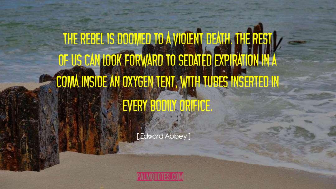 Violent Death quotes by Edward Abbey