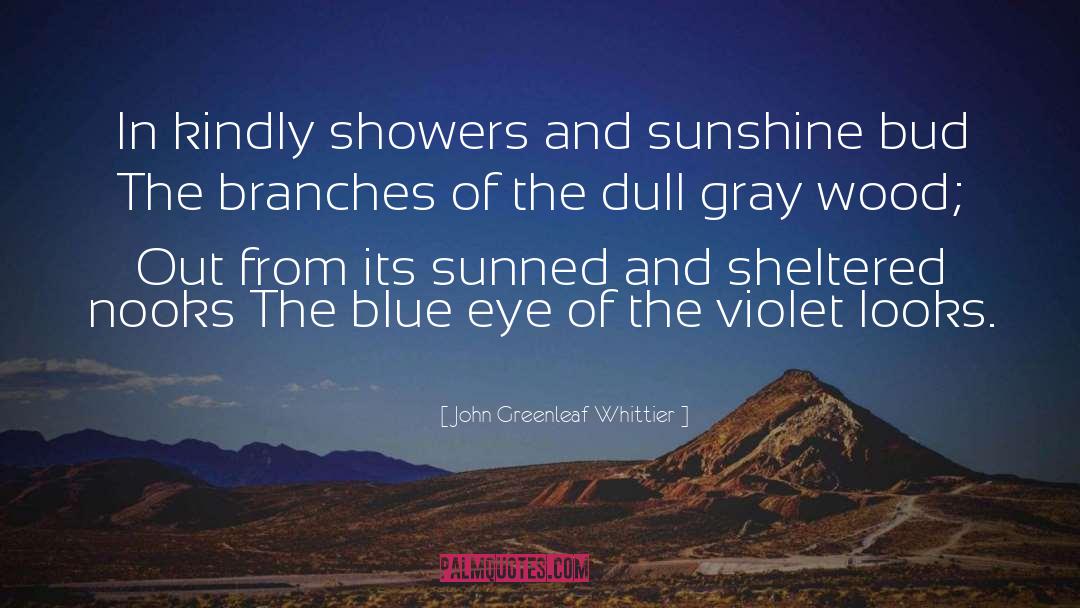 Violet Trefusis quotes by John Greenleaf Whittier