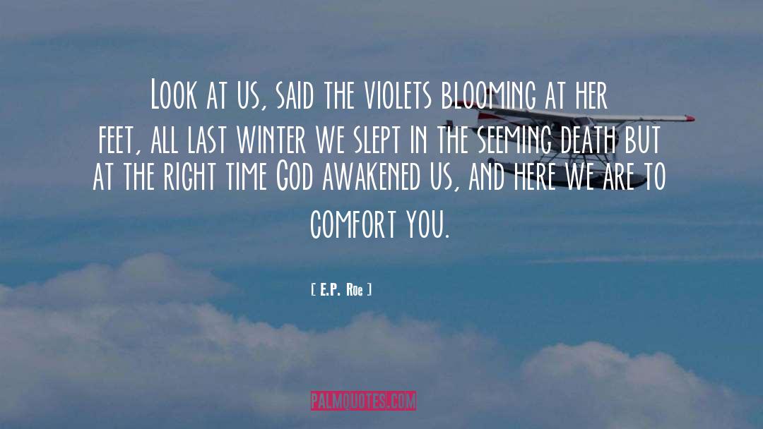 Violets quotes by E.P. Roe