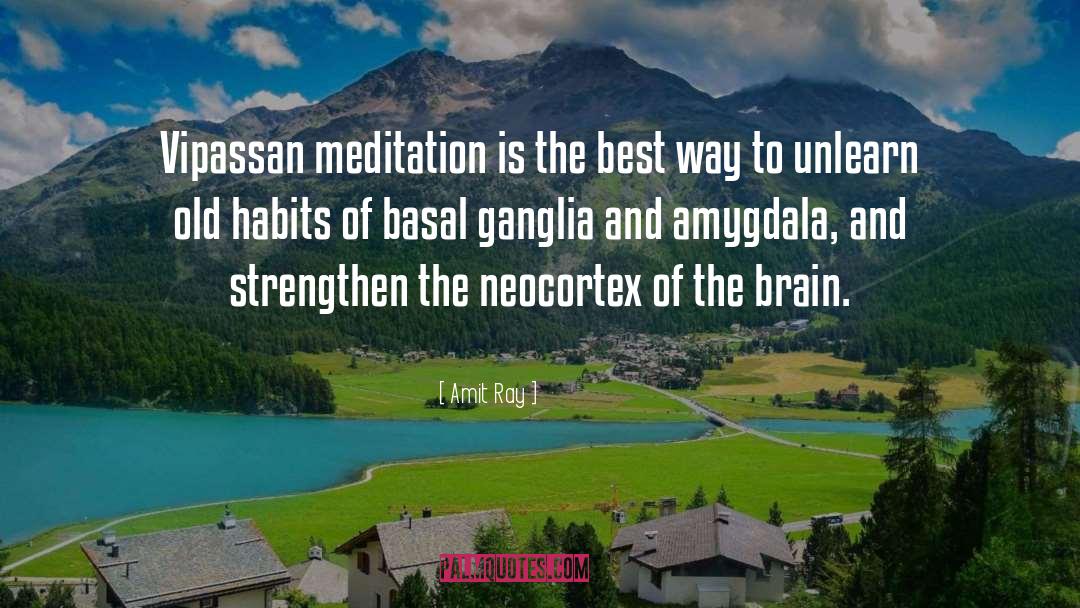 Vipassana Meditation quotes by Amit Ray