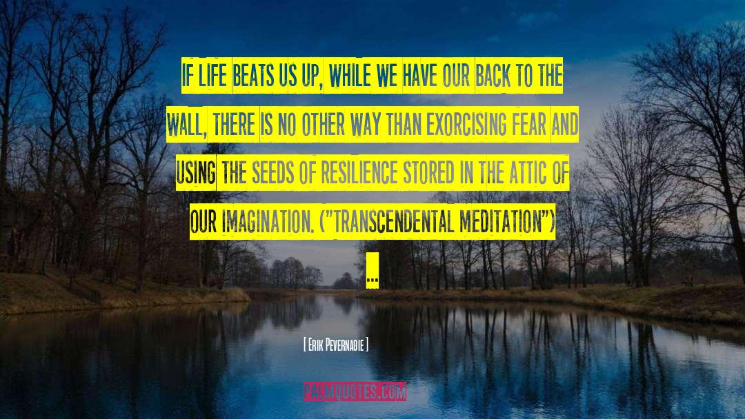 Vipassana Meditation quotes by Erik Pevernagie