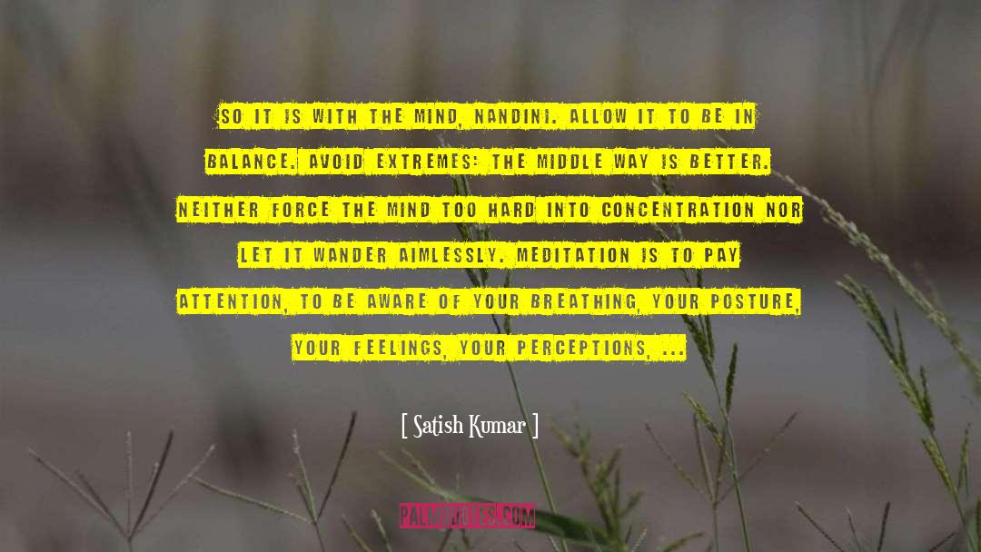 Vipassana Meditation quotes by Satish Kumar