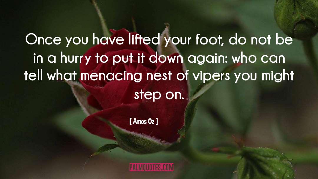 Vipers quotes by Amos Oz