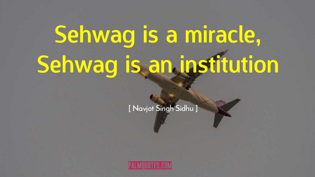 Virender Sehwag quotes by Navjot Singh Sidhu