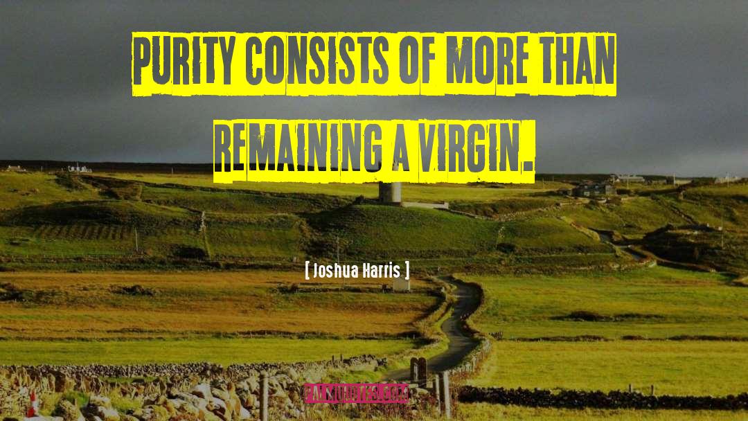 Virgin Heroine quotes by Joshua Harris
