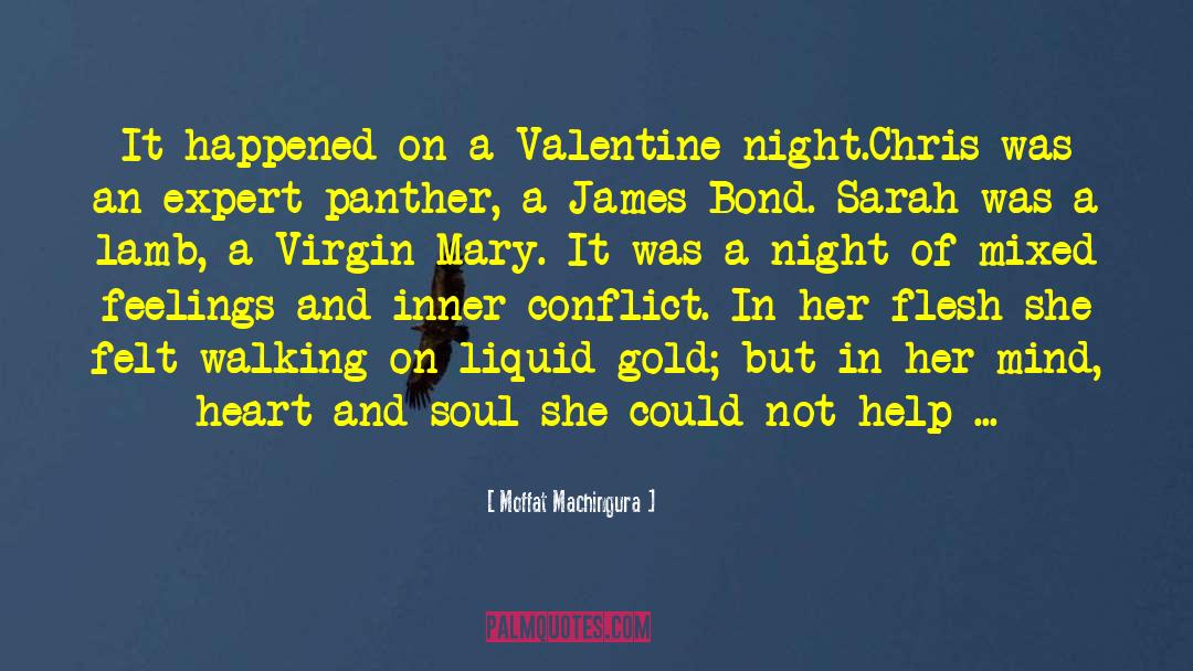 Virgin Mary quotes by Moffat Machingura