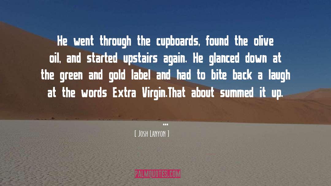 Virgin quotes by Josh Lanyon