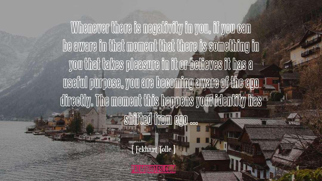 Virtual Identity quotes by Eckhart Tolle