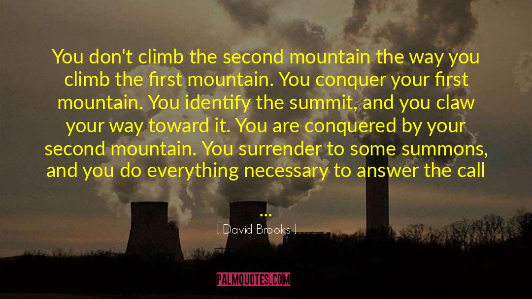 Virtual Summit quotes by David Brooks
