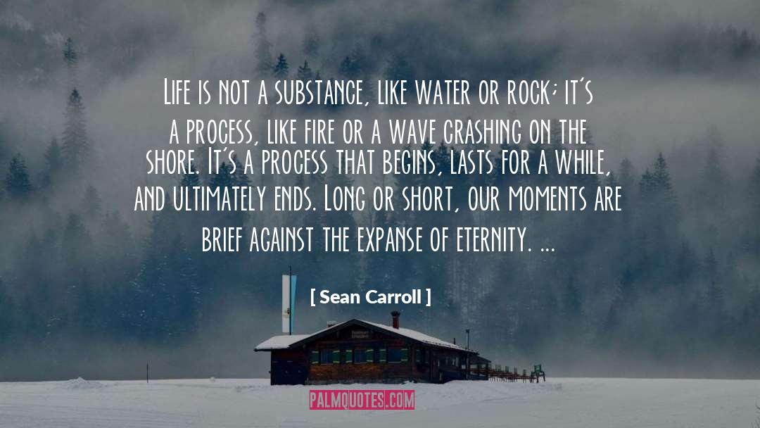 Virtue Eternity quotes by Sean Carroll