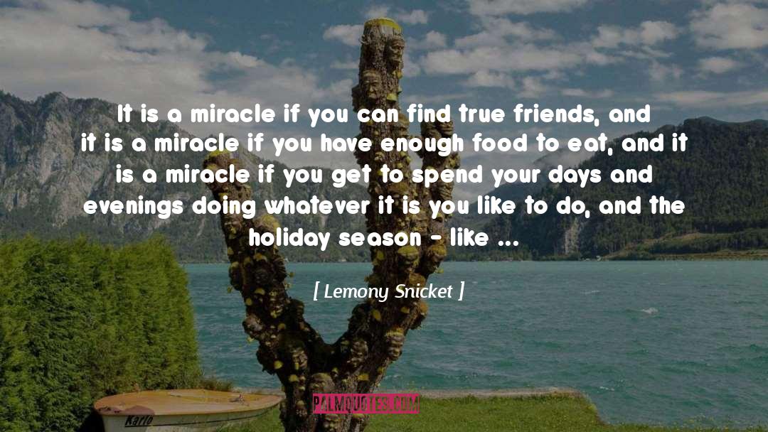 Virtuous Life quotes by Lemony Snicket