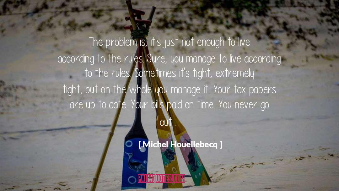 Visa quotes by Michel Houellebecq