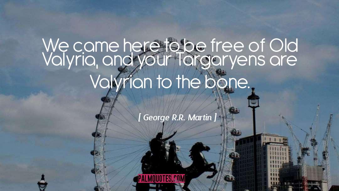 Visariou Targaryen quotes by George R.R. Martin