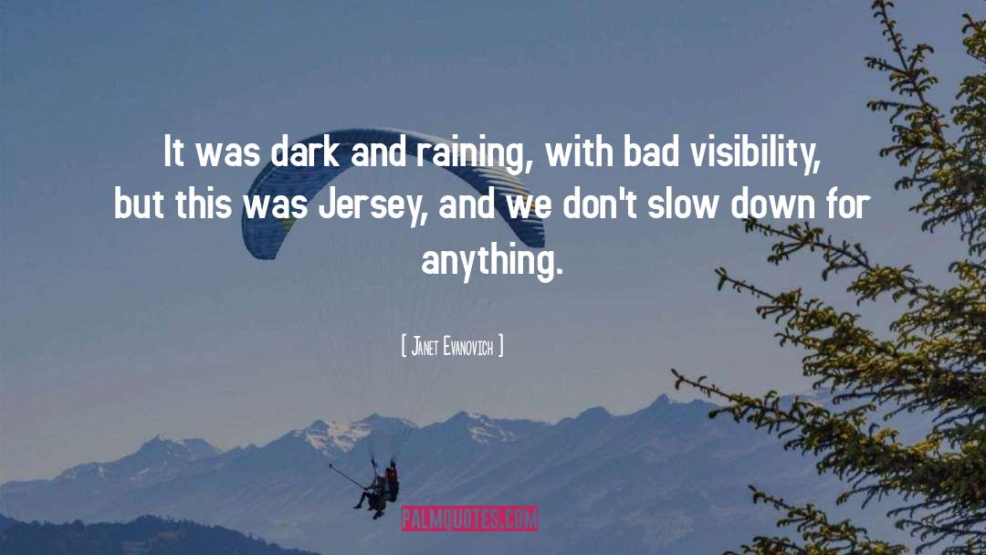 Visibility quotes by Janet Evanovich