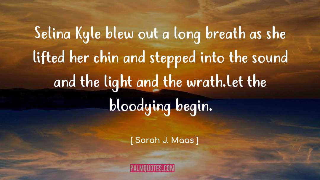 Visible Light quotes by Sarah J. Maas