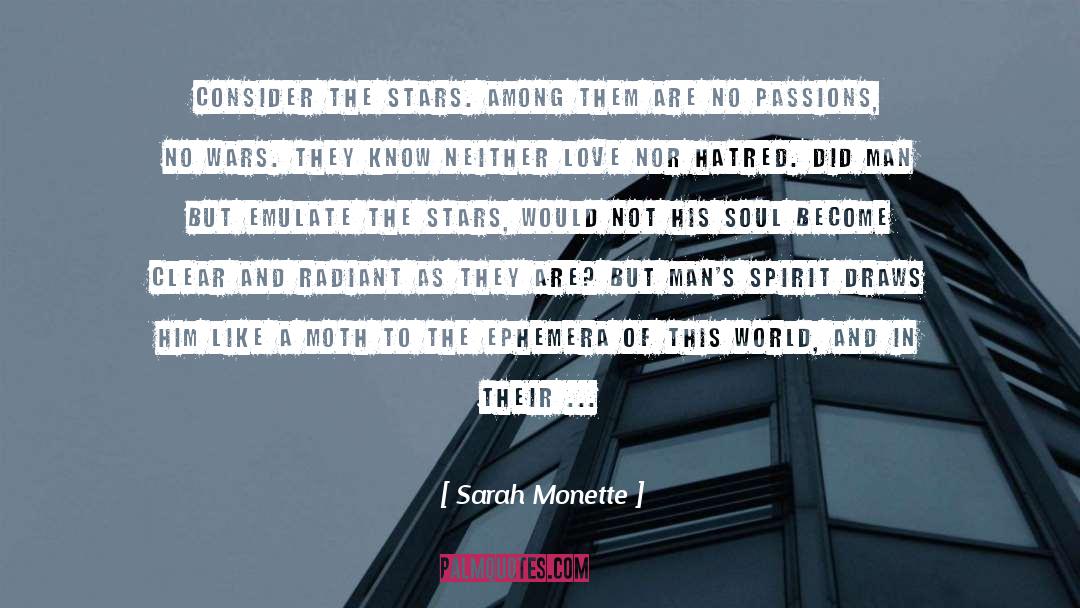 Visible Man quotes by Sarah Monette