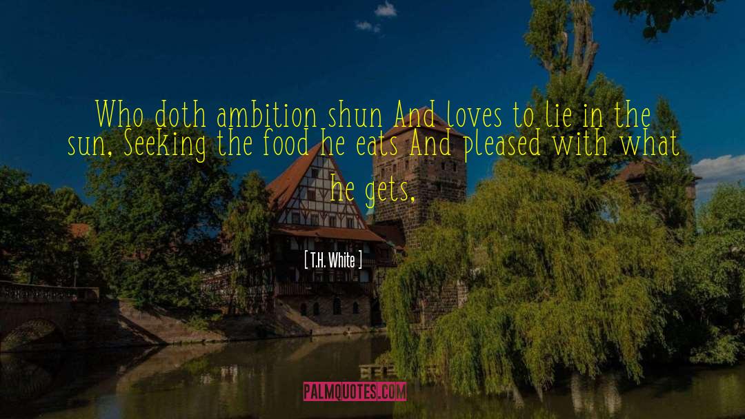 Vision And Ambition quotes by T.H. White