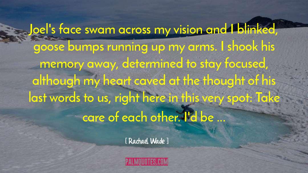 Vision Building quotes by Rachael Wade
