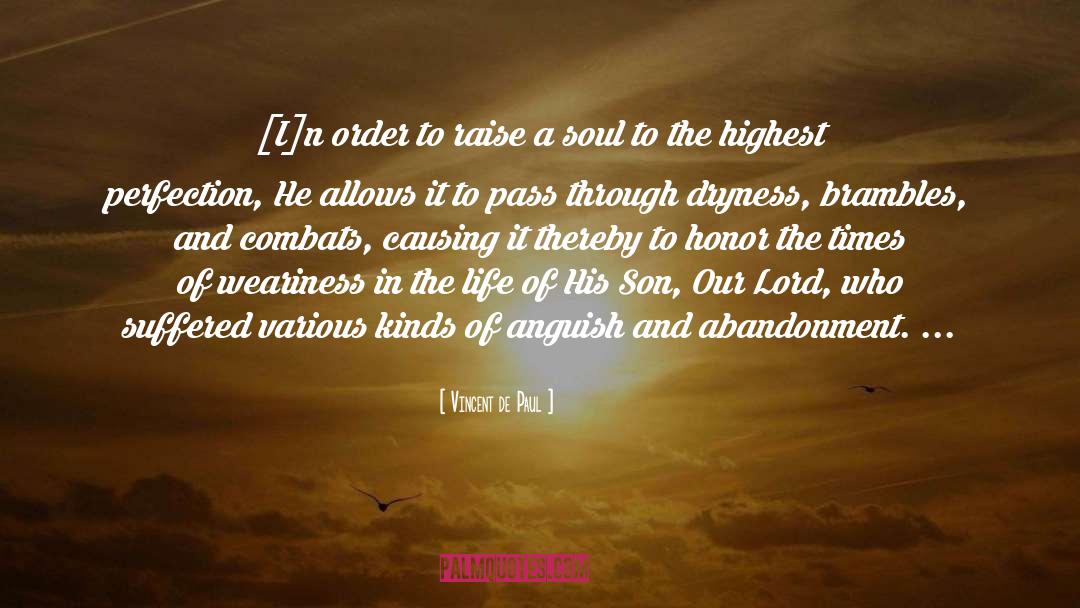 Vision Of Soul quotes by Vincent De Paul