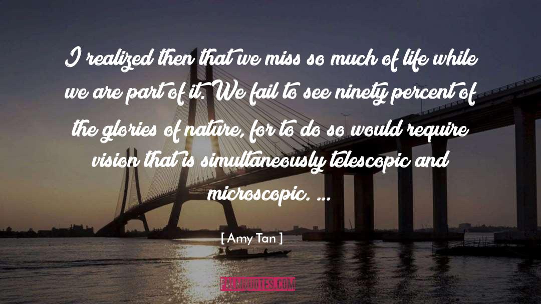 Vision Of Soul quotes by Amy Tan