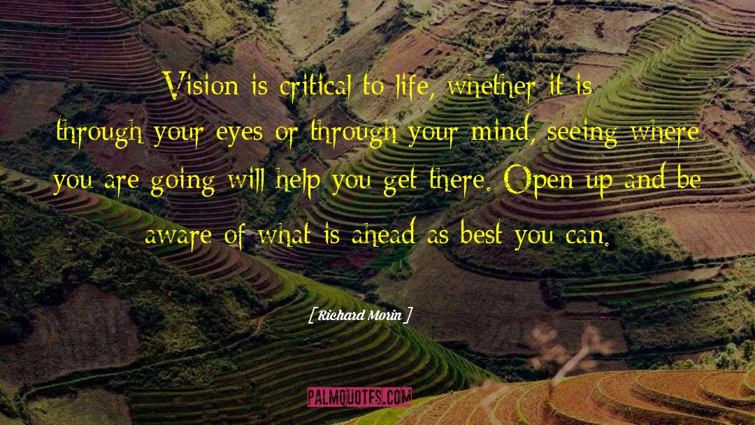 Vision Planning quotes by Richard Morin