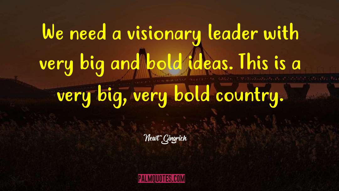 Visionary Leader quotes by Newt Gingrich