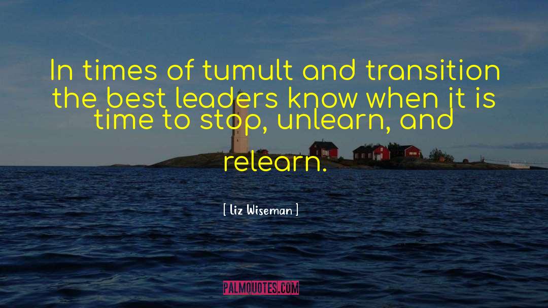Visionary Leaders quotes by Liz Wiseman