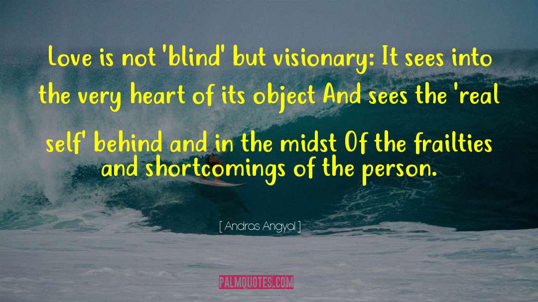 Visionary quotes by Andras Angyal