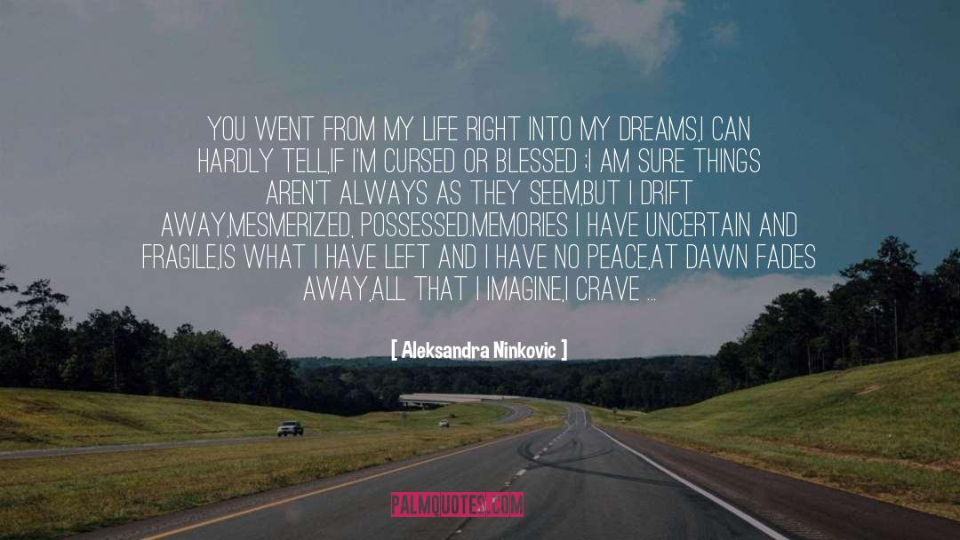 Visions And Dreams quotes by Aleksandra Ninkovic