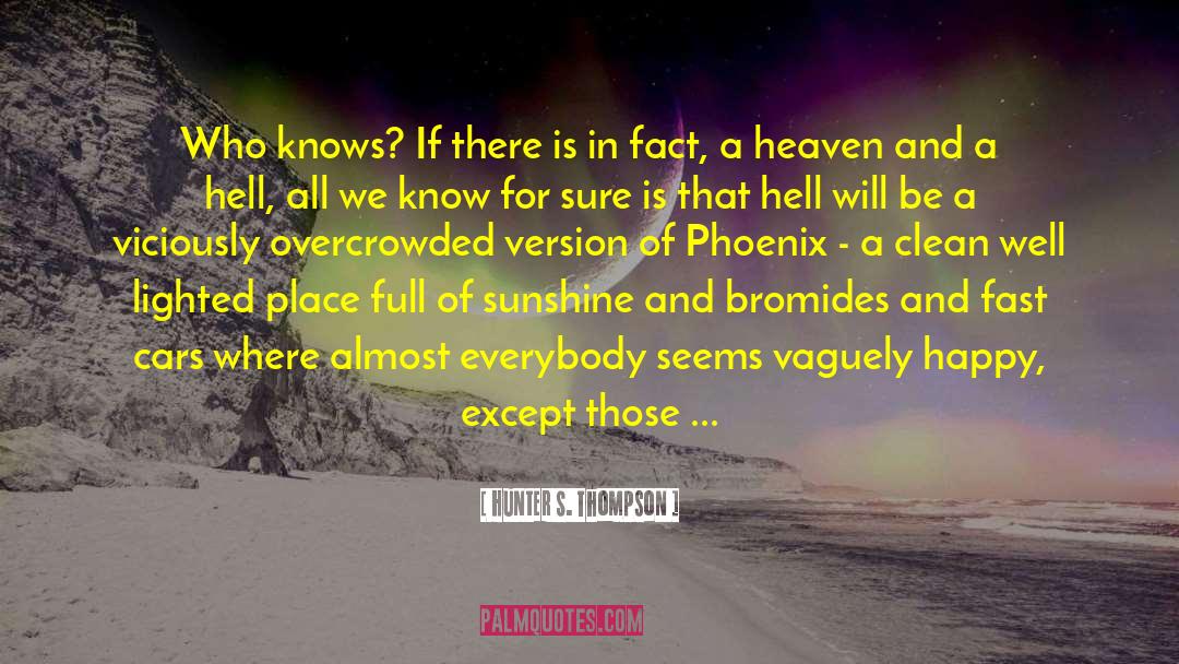 Visions Of Heaven And Hell quotes by Hunter S. Thompson