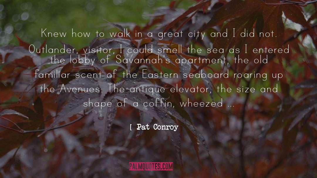 Visitor quotes by Pat Conroy