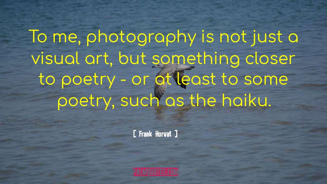 Visual Art quotes by Frank Horvat