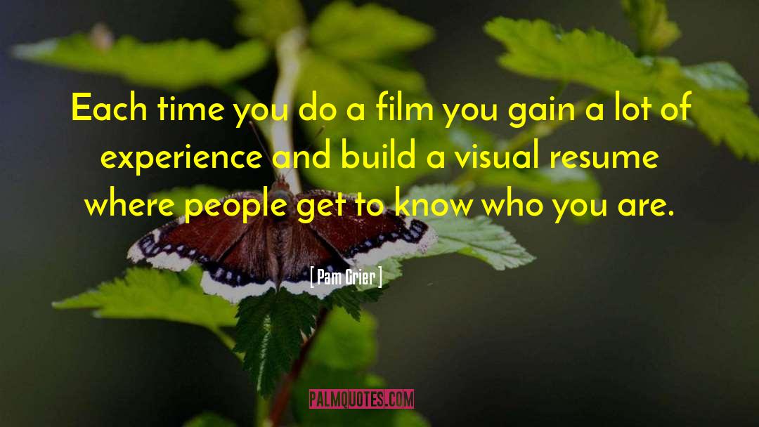 Visual Display quotes by Pam Grier