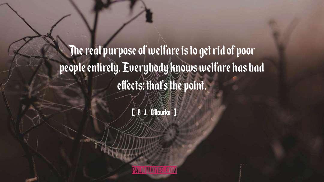 Visual Effects quotes by P. J. O'Rourke