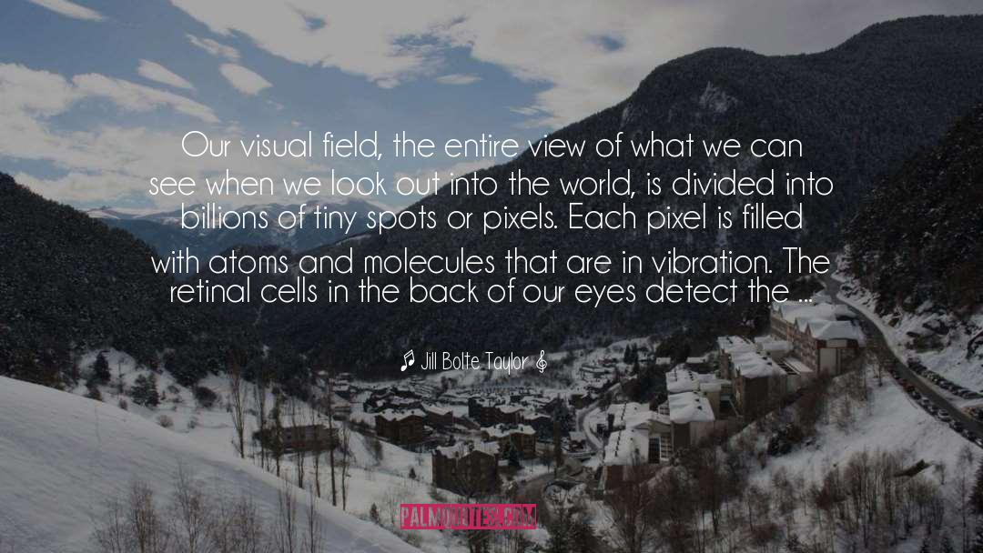 Visual Field Eye quotes by Jill Bolte Taylor