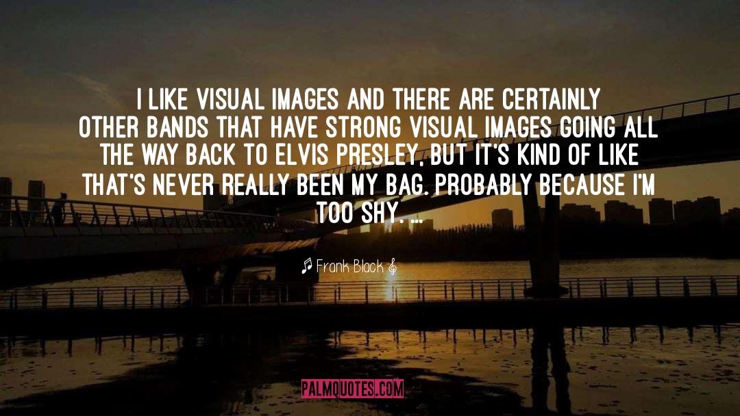 Visual Storytelling quotes by Frank Black