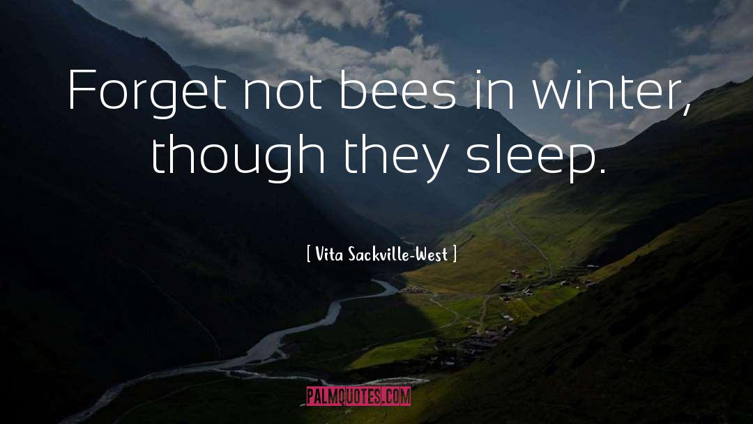 Vita Sackville West quotes by Vita Sackville-West