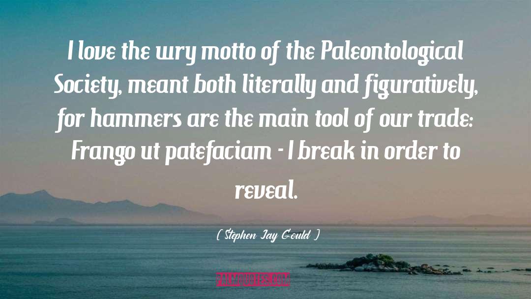 Vital Tools quotes by Stephen Jay Gould
