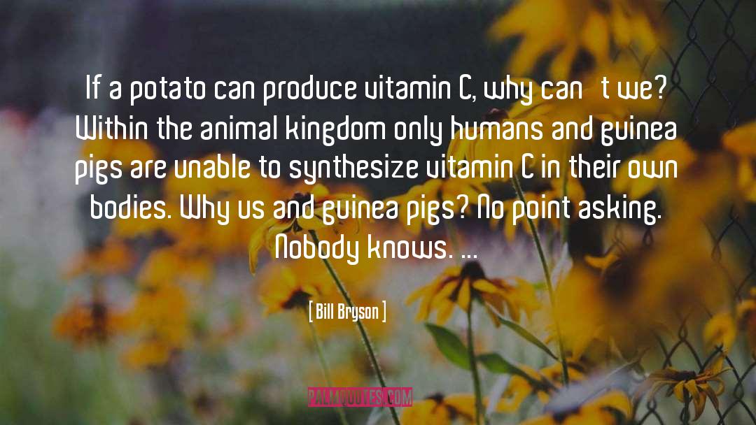 Vitamins quotes by Bill Bryson