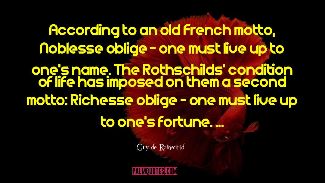 Vitesse Oblige quotes by Guy De Rothschild