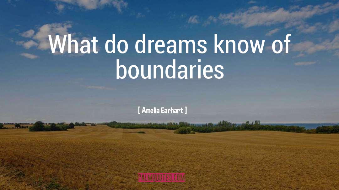 Vivid Dreams quotes by Amelia Earhart