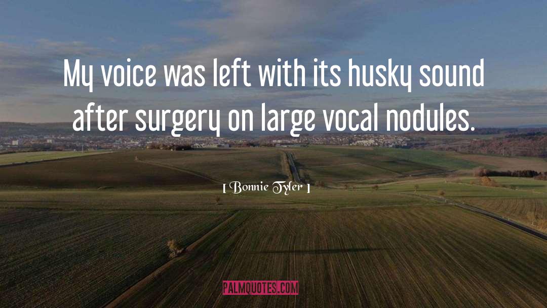 Vocal Cords quotes by Bonnie Tyler