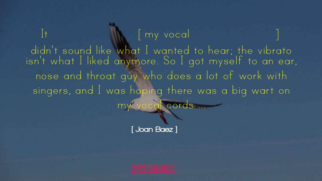 Vocal Cords quotes by Joan Baez