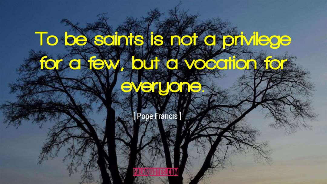 Vocation Discernment quotes by Pope Francis