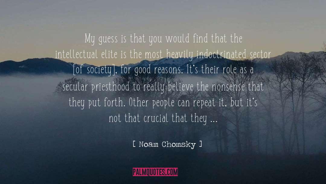 Vocation For Priesthood quotes by Noam Chomsky