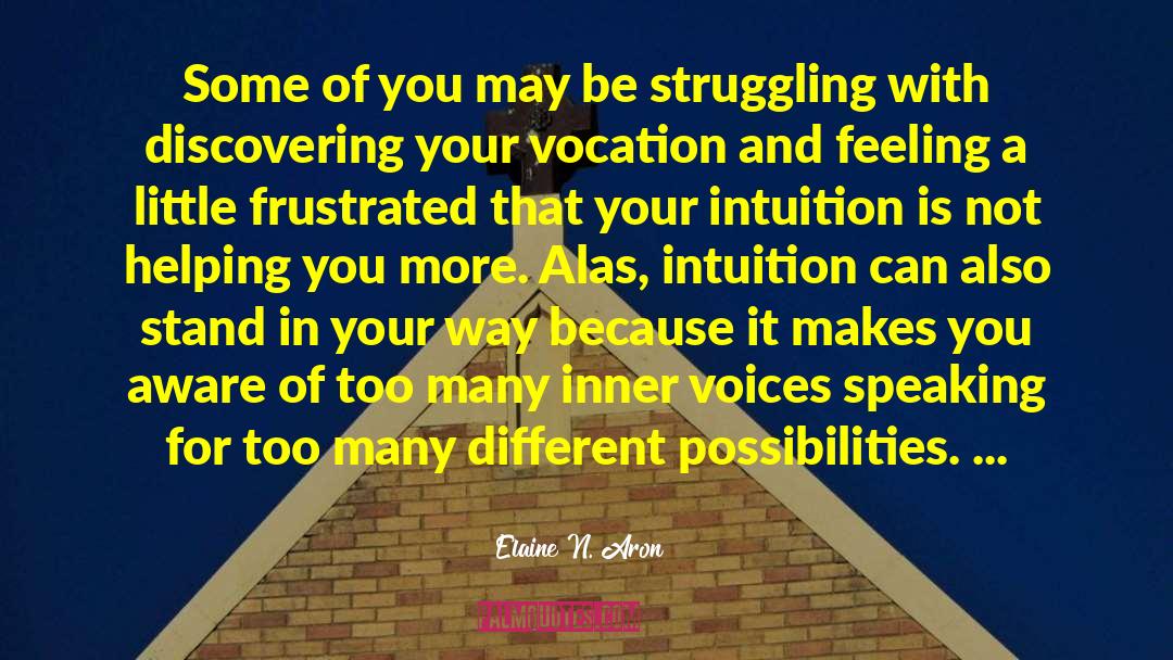 Vocation quotes by Elaine N. Aron