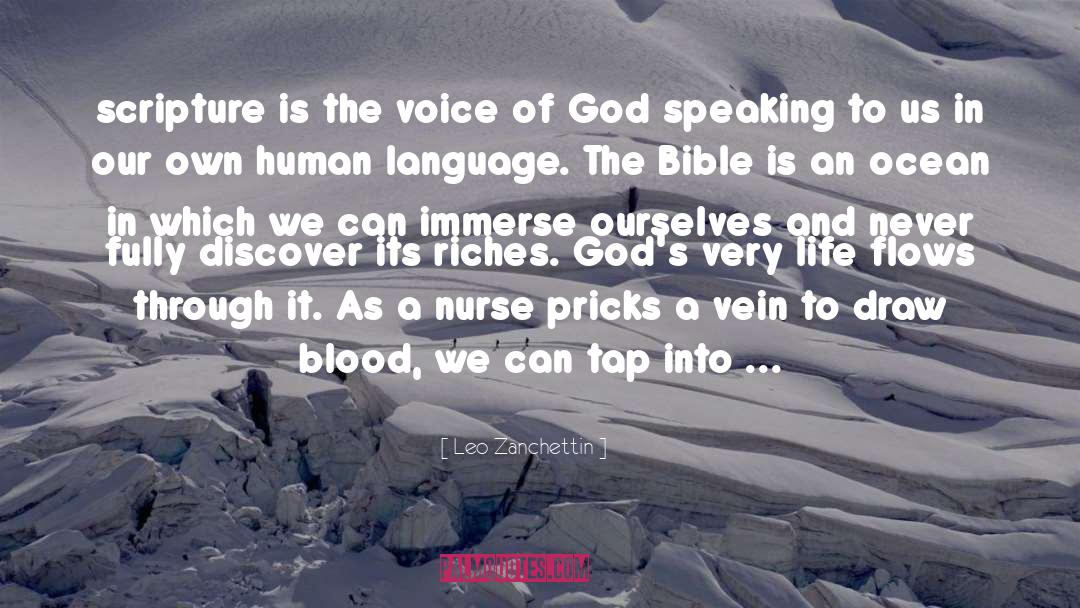 Voice Of God quotes by Leo Zanchettin