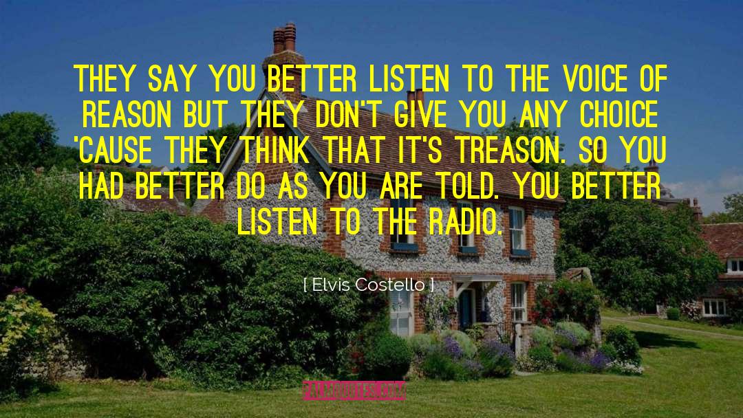 Voice Of Reason quotes by Elvis Costello