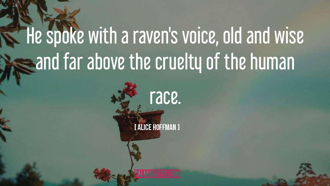 Voice Of The Nations quotes by Alice Hoffman