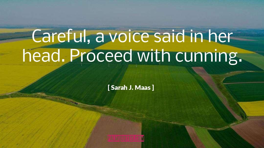 Voice Whisper quotes by Sarah J. Maas